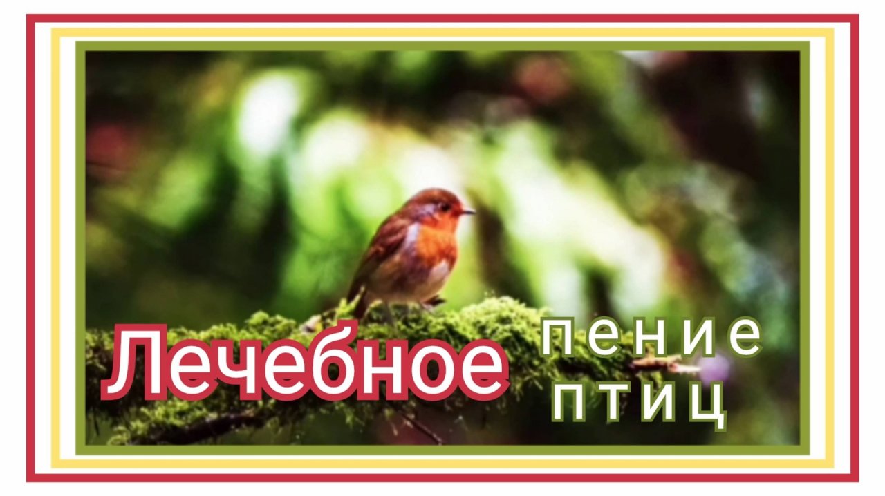 Лечебное пение птиц.