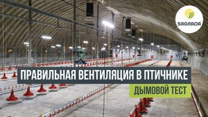 Правильная вентиляция в птичнике. Дымовой тест на бройлерной птицефабрике | Оборудование SAGRADA