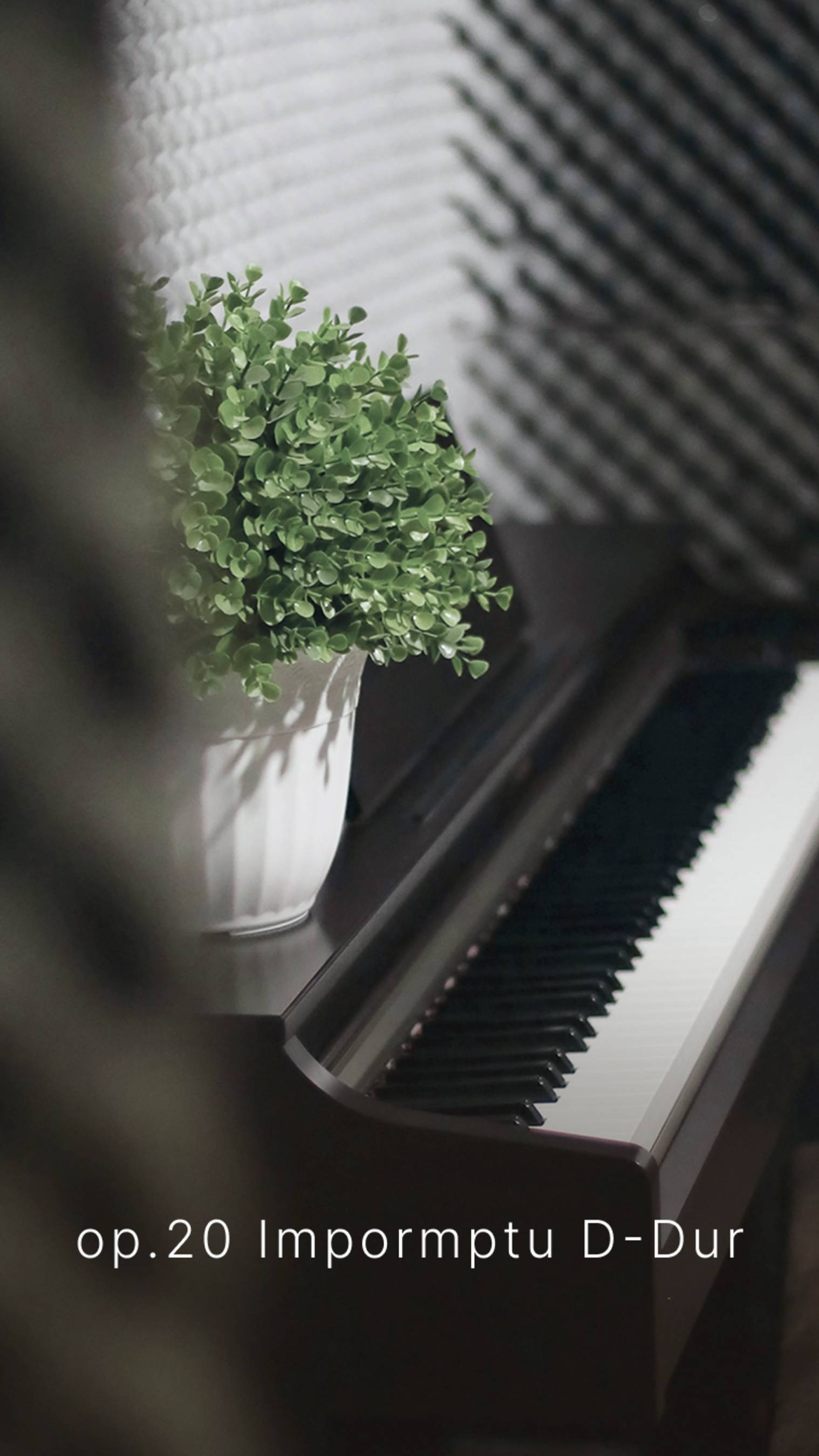 Больше музыки на канале #piano #классическая_музыка #фортепиано #современная_классика #неоромантизм