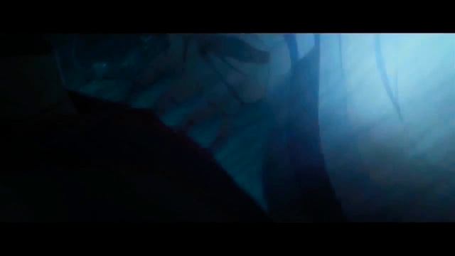 Wei Wuxian and Lan Wanji「AMV」- смотреть онлайн