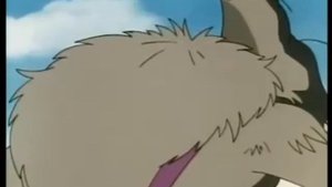 Le Fiabe più Belle, Episodio 9, I Tre Porcellini