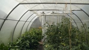 Дополнительное затенение и подвязы