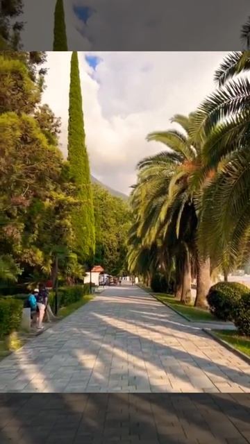 Любите мир за его красоту…#красотавокругнас #окружающиймир #природа #земля #мир #море #любовь #shor смотреть онлайн