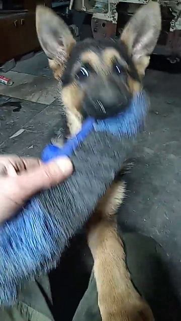 27 марта 2024 г. смотреть онлайн