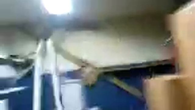 Angry bird/horny bird смотреть онлайн