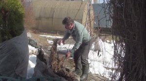 Апрель // Раскидал снег // Раскрыл розы // Помыл колеса аккумуляторным керхером