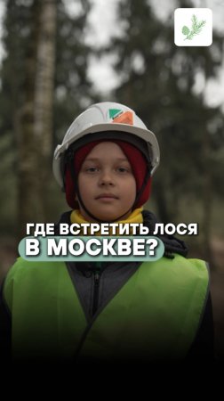А вы знали?