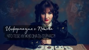 ✨✨✨ЧТО ВАМ НУЖНО ЗНАТЬ СЕЙЧАС ✨ информация с Потока Таро расклад онлайн