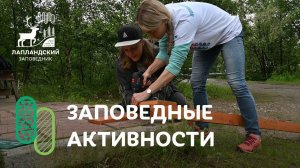 Заповедные активности