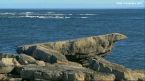 Speakout 2nd intermediate Unit-10