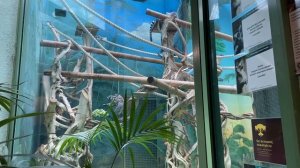 1 августа 2024 г.