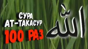 Сура Ат-Такасур 100 раз