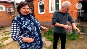 переезд в Сибирь с Юга/родители собирают вещи/дочь собралась в Сибирь/занимаюсь посадкой огорода