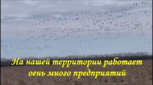 Поиск резервов развития