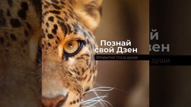 Планета понимания смотреть онлайн