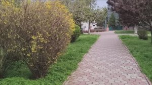 Керчь. Вечерняя прогулка 08.04.25