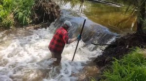Manual Removal Of The Great Beaver Dam And A Huge Amount Of Water - Beaver Dam Removal No.24