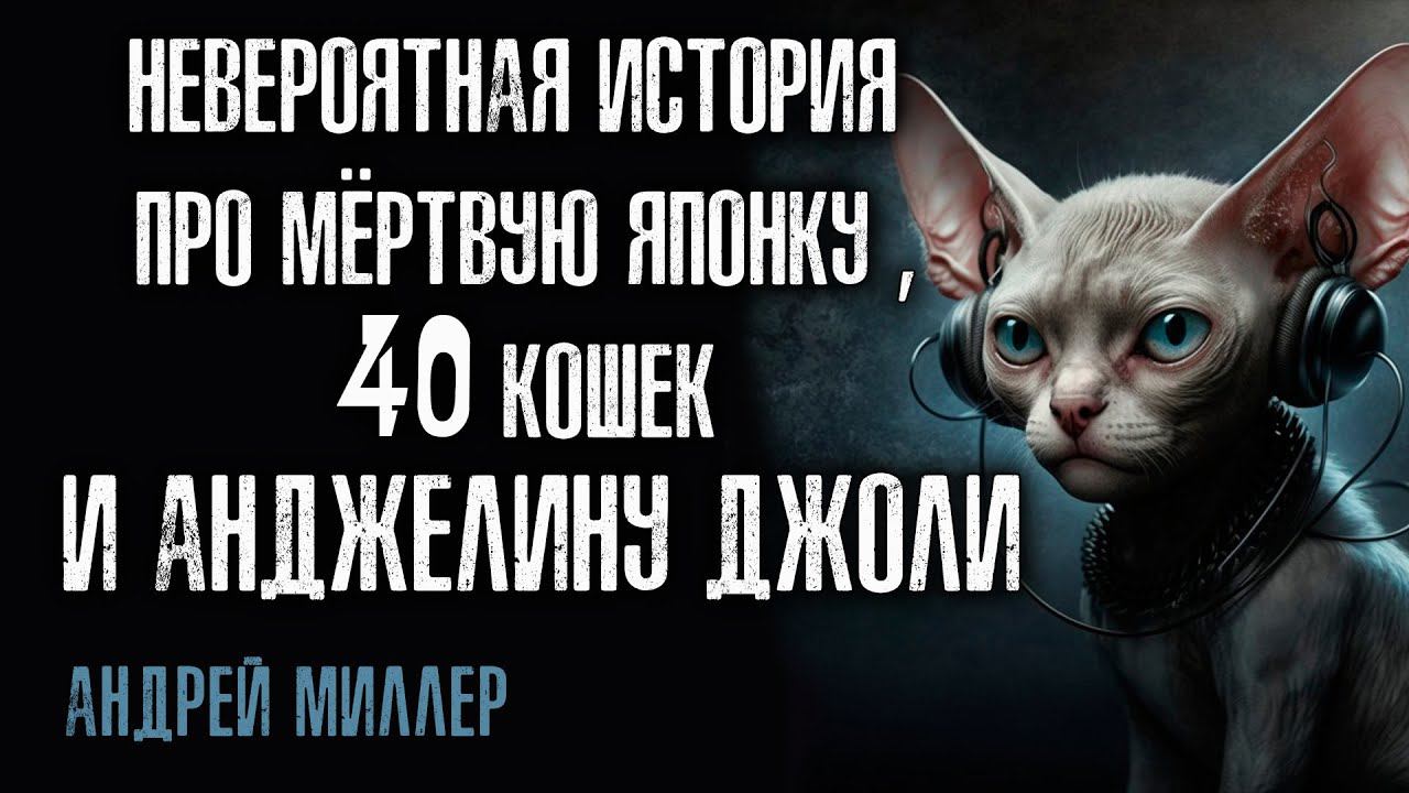 НЕВЕРОЯТНАЯ ИСТОРИЯ ПРО МЁРТВУЮ ЯПОНКУ СОРОК КОШЕК И АНДЖЕЛИНУ ДЖОЛИ