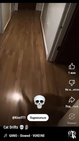 1000004089.mp4