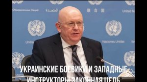 Украинские боевики и западные инструкторы законная цель