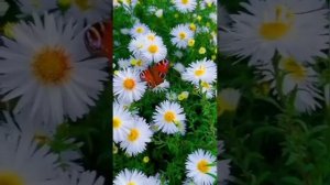 Осознание Воз-ДУХА!!!