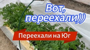 518ч🏡22.03.25-Муж на работе//Одна на хозяйстве//Переселила помидоры #Копанская #сельскаяжизнь