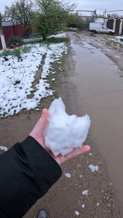 Апрель, выпал снег на юге!погибнет ли урожай ?!