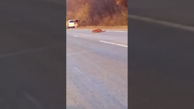 24 октября 2015 г. смотреть онлайн