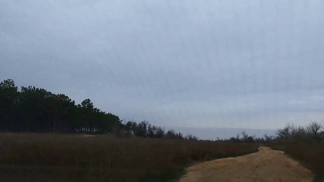 Земельный участок на берегу моря смотреть онлайн