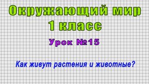 Окружающий мир 1 класс (Урок№15 - Как живут растения и животные?)