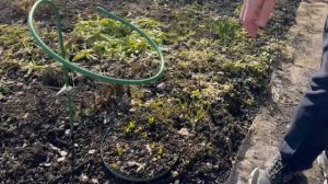 ПРИЕХАЛИ В САД С ПРОВЕРКОЙ