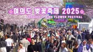 여의도 벚꽃축제 2025 개막!🌸역대급 화려한 행사, 4월 8일 - 4월 12일, 아름다운 여의도 국회 뒤편 벚꽃길 함께 걸어요. 여의도 봄꽃축제 2025, 서울 여행