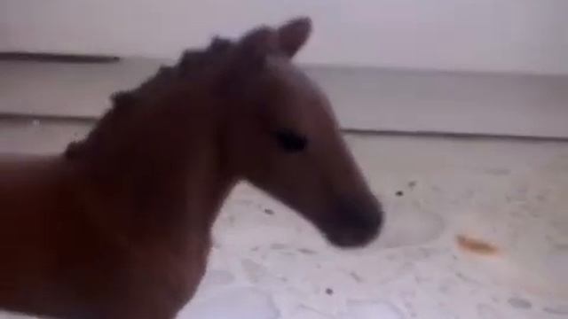 Powracam razem z nowymi filmikami. смотреть онлайн