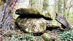 Видео 95 (часть 3) - Дольмены урочища ТРИ ДУБА (нижняя часть группы) (Солохаул)