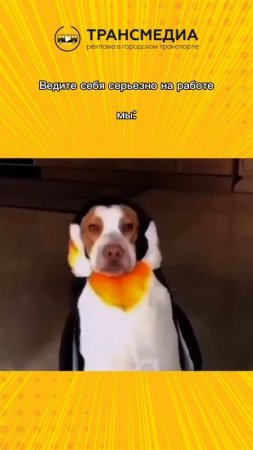 Да, мы, вопросы