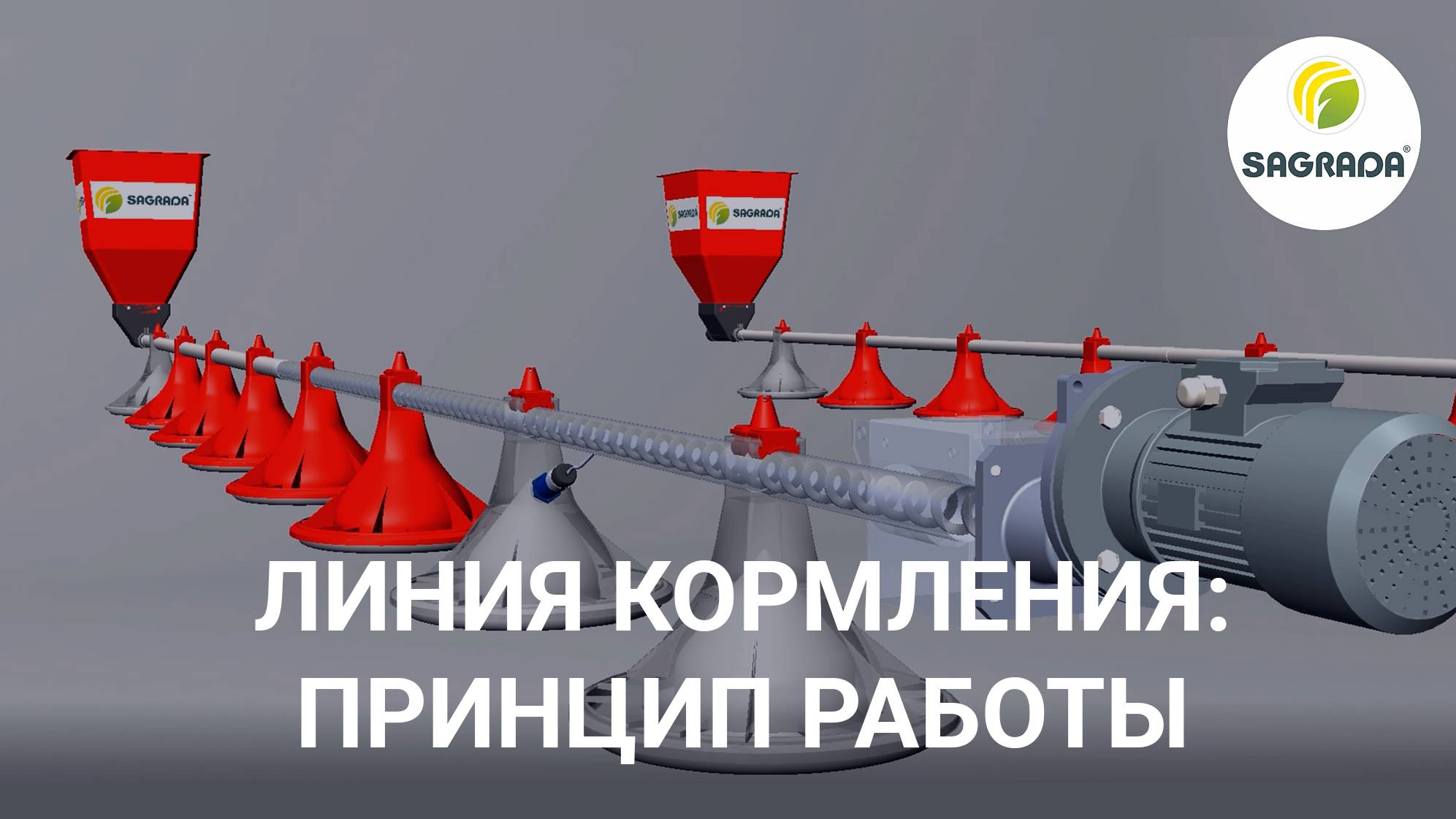 Линия кормления для птиц BEST | Система автоматического кормления бройлеров, индейки, уток и гусей смотреть онлайн