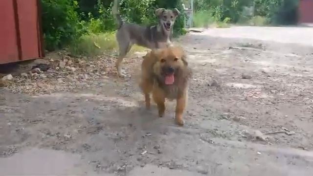 0 04 05 16fb2931004a3fec6ad7cab135958822b2d07bc0da37bf835b6e87dc27126385 full смотреть онлайн