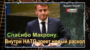 Спасибо Макрону. Внутри НАТО зреет новый раскол