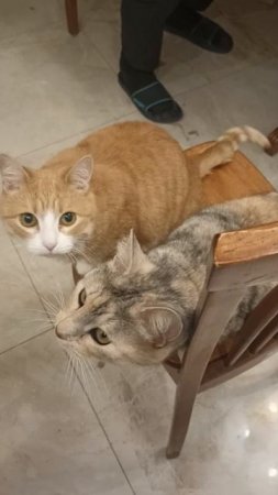 Кусочничаем.