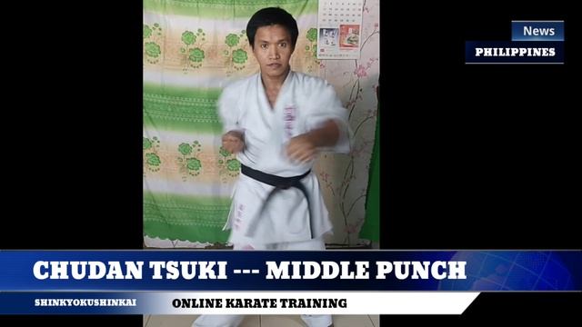 SHINKYOKUSHINKAI (ONLINE KARATE TRAINING PART 1)