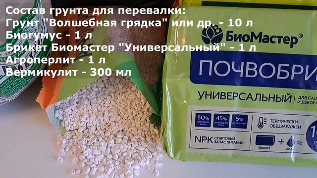 Состав грунтов для посева и перевалки. Сроки посева на февраль-март 2024