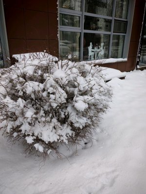 Жизнь продолжается