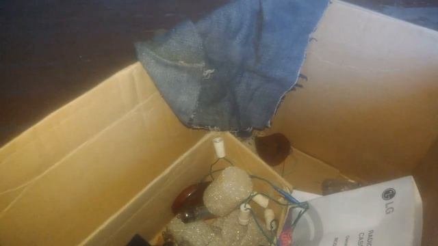 сталк по заброшенной улице