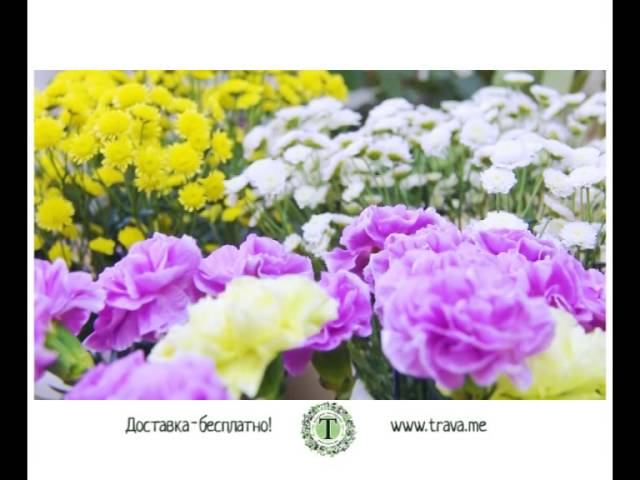 Букетная мастерская Трава смотреть онлайн