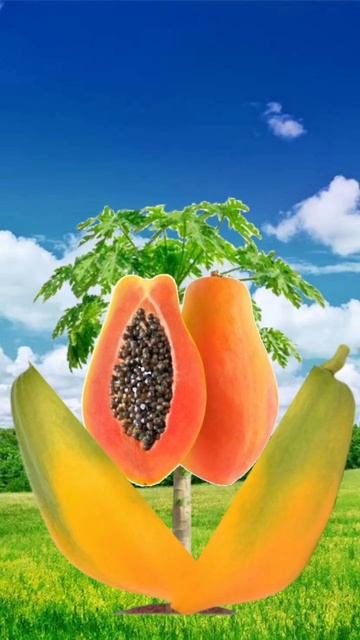 Papaya Tropical fruit #satisfying #shorts #fyp