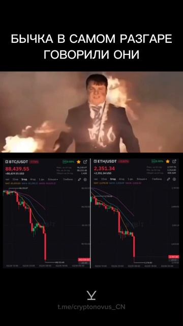 cryptonovus_CN
