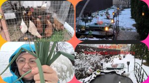 8-04-2025г.Жизнь в деревне.