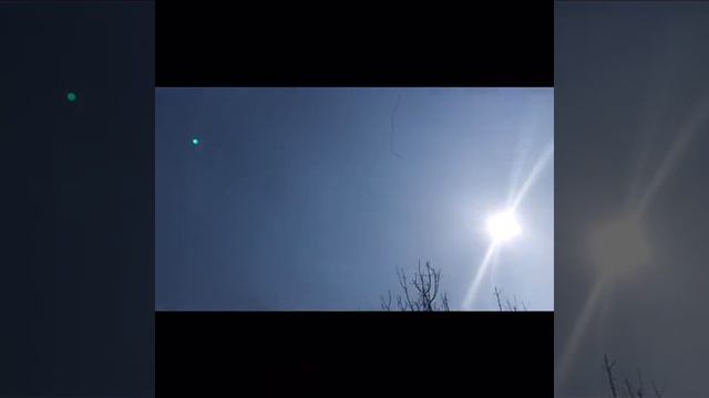 Весенние птицы