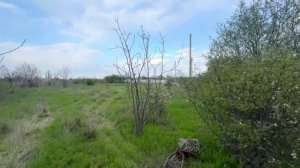 7 соток СНТ Здоровье