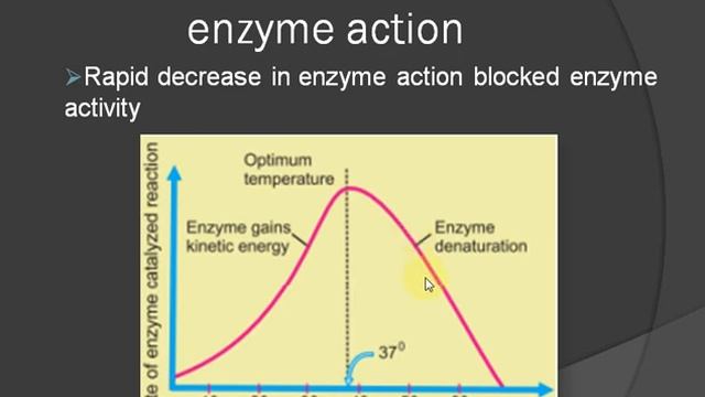 video 15 | grade 8,9 | Biological Science | Ch#6, factors affecting enzyme action | смотреть онлайн